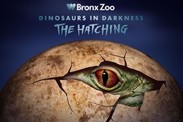 NEW! Dinosaurs In Darkness: The Hatching - The Bronx Zoo’s First-Ever After Dark Haunted Experience